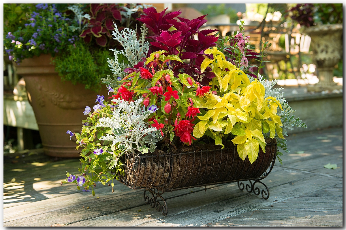 flowercontainers1