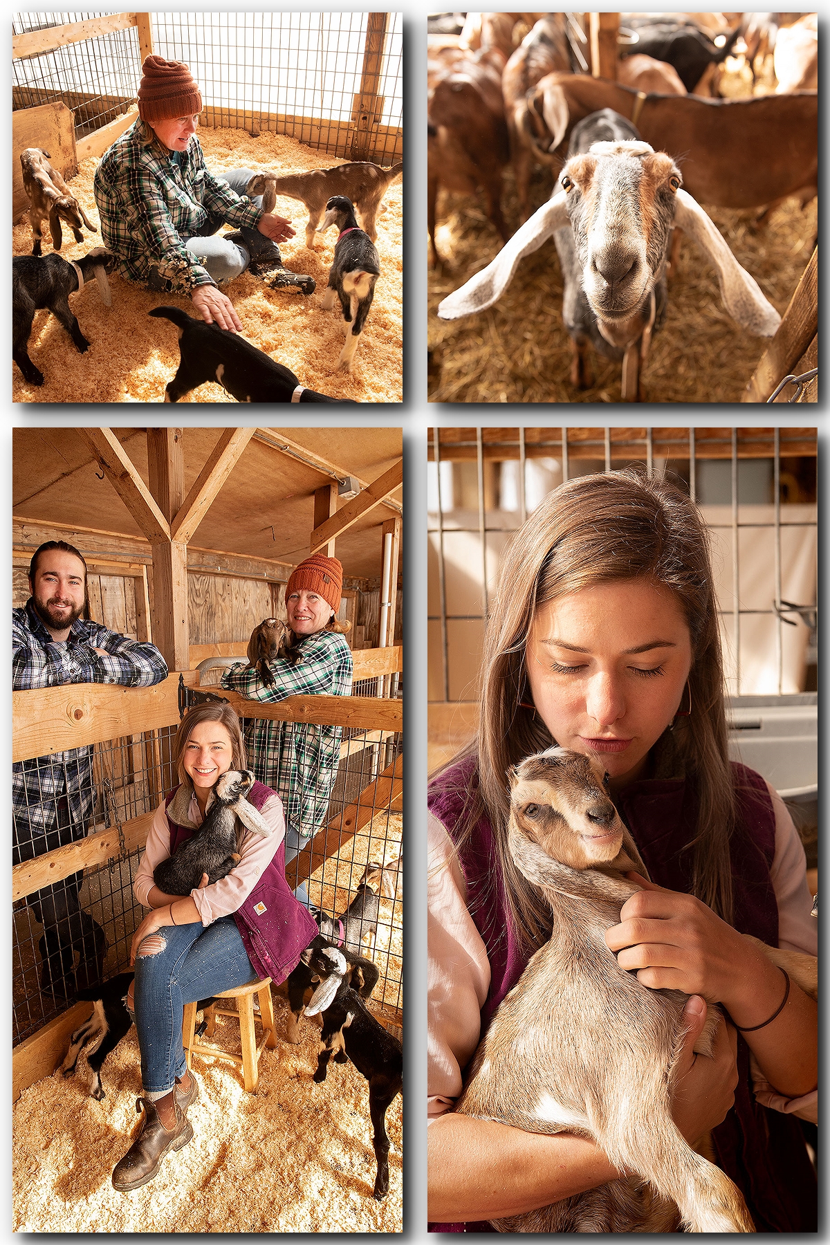 Good Goats Cover View With Merrimack Valley Magazine