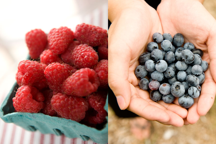Berries at Smolak Farms