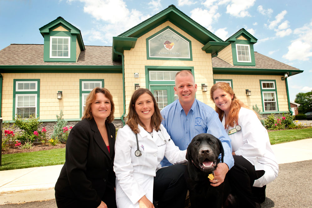Chelmsford Animal Hospital Customer Profile