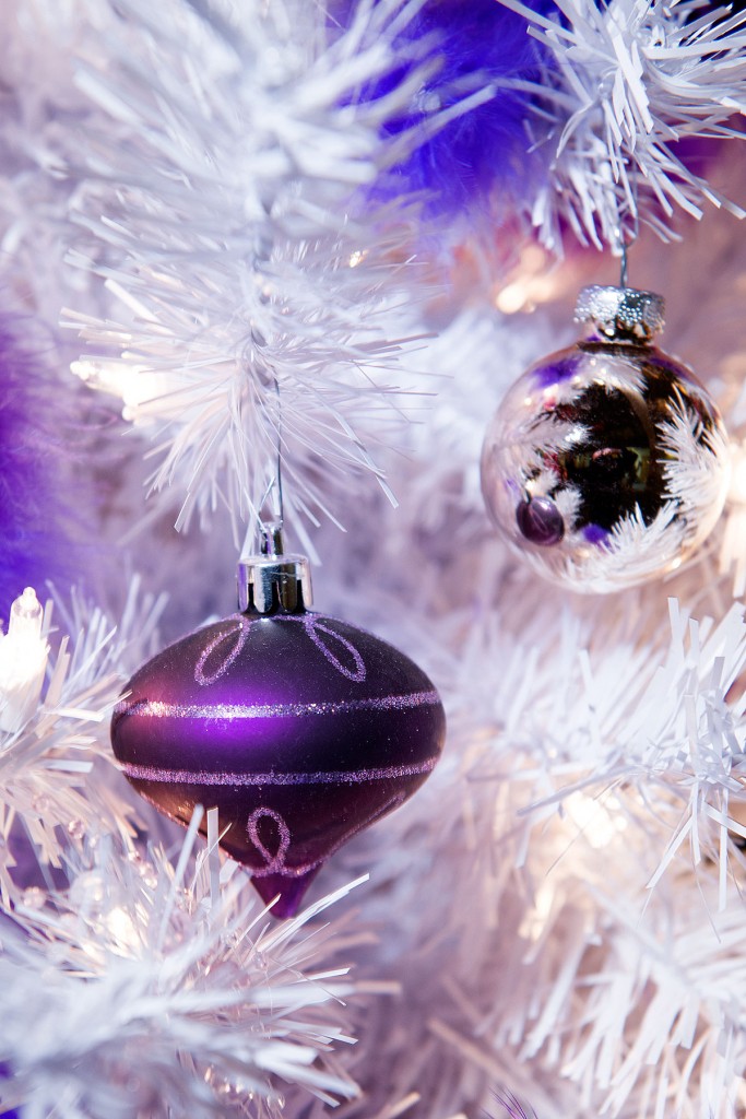 Holiday Cover with Merrimack Valley Magazine at the Methuen Festival of Trees