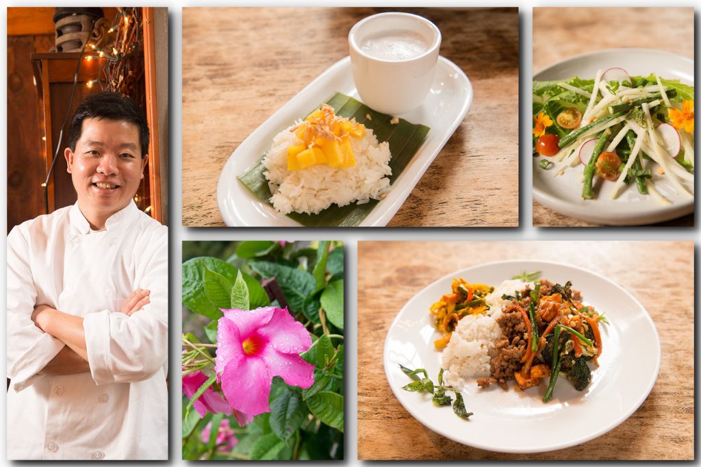 Herb Lyceum at Gilson’s Groton MA