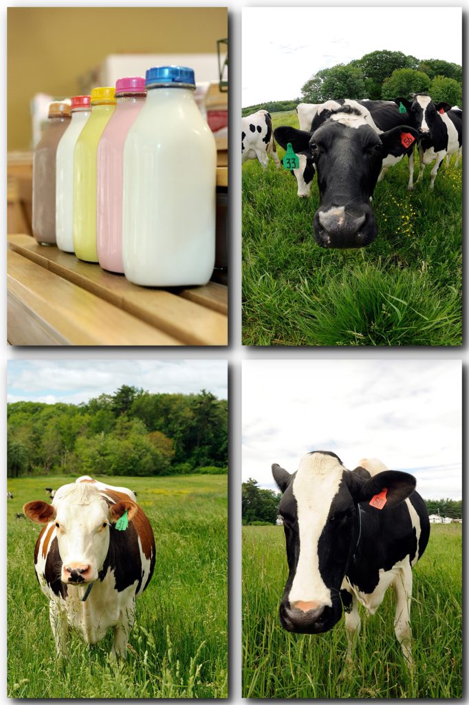 Buying Organic with Shaw Farms