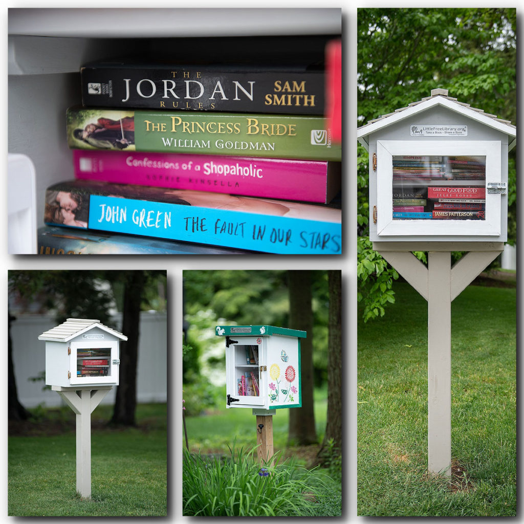 FreeLibrary-2-1024x1024.jpg