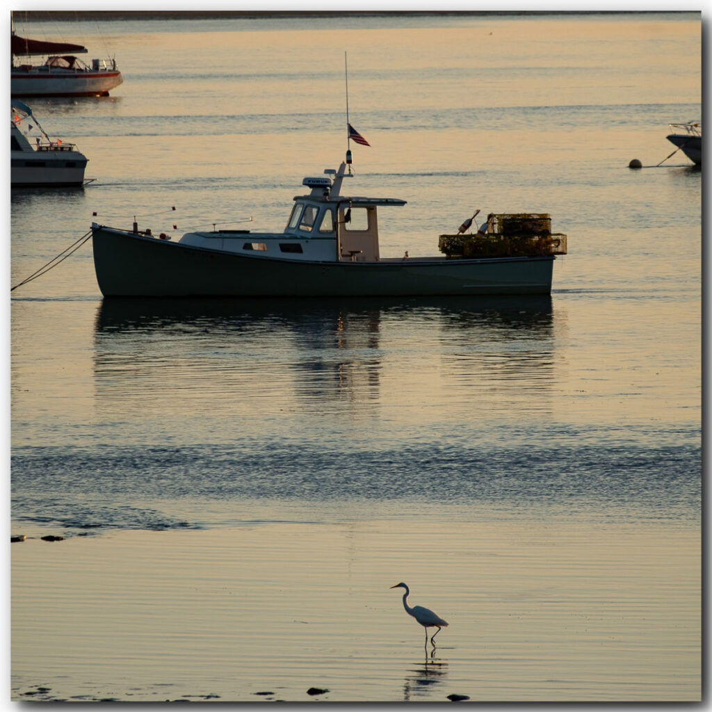 Newburyport Sunrise Bike Ride