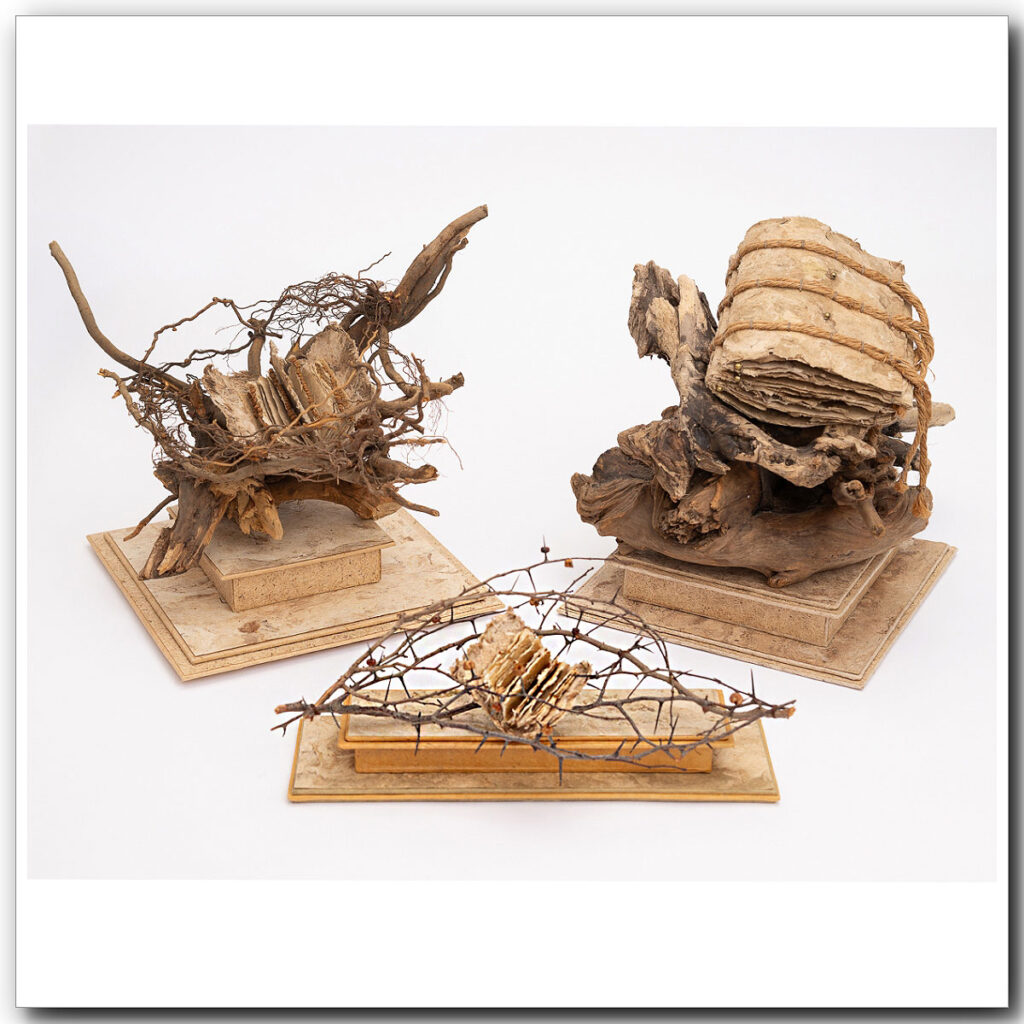 The Spirit Books with Artist Susan Kapuscinski Gaylord