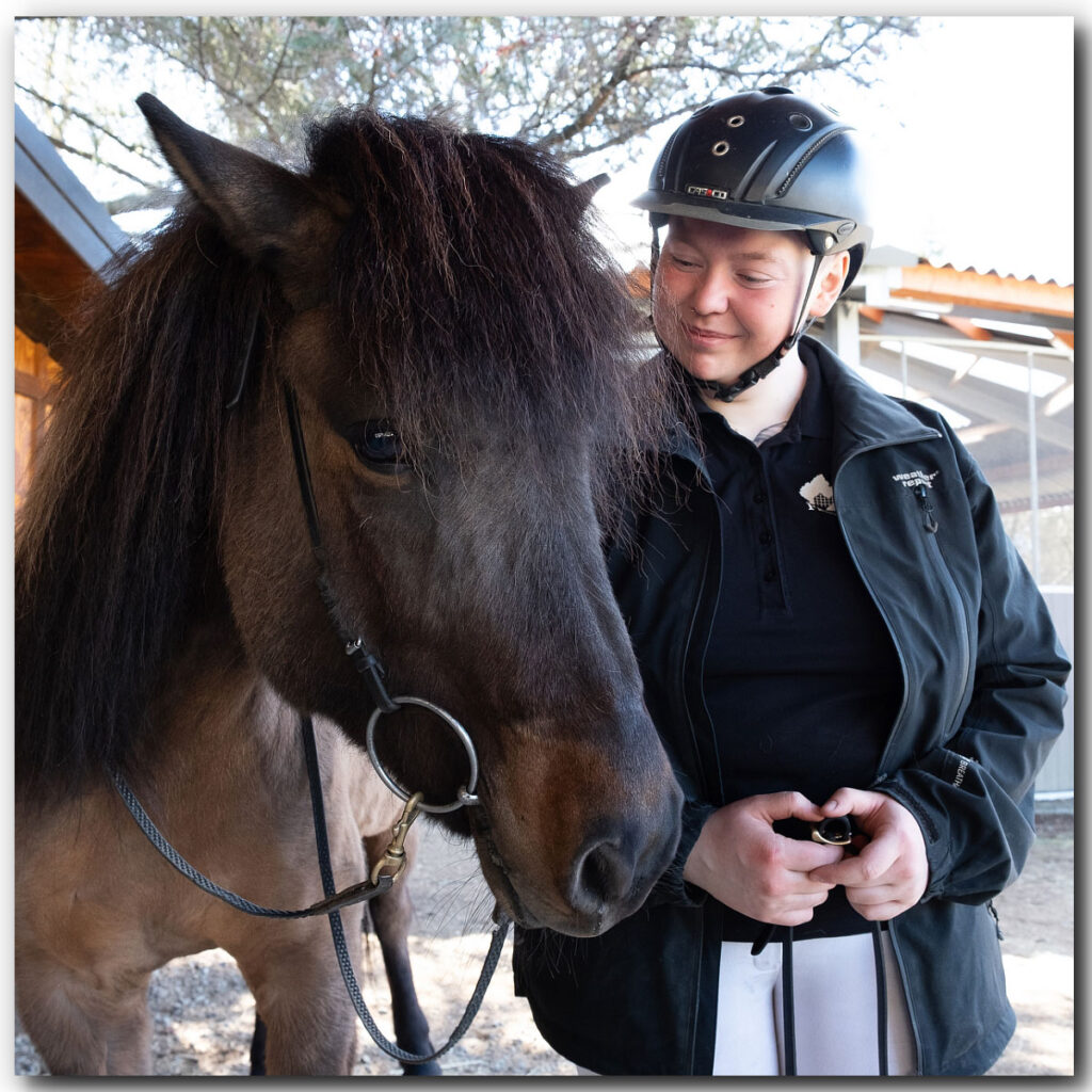 Icelandic Horses and Tomato Soup